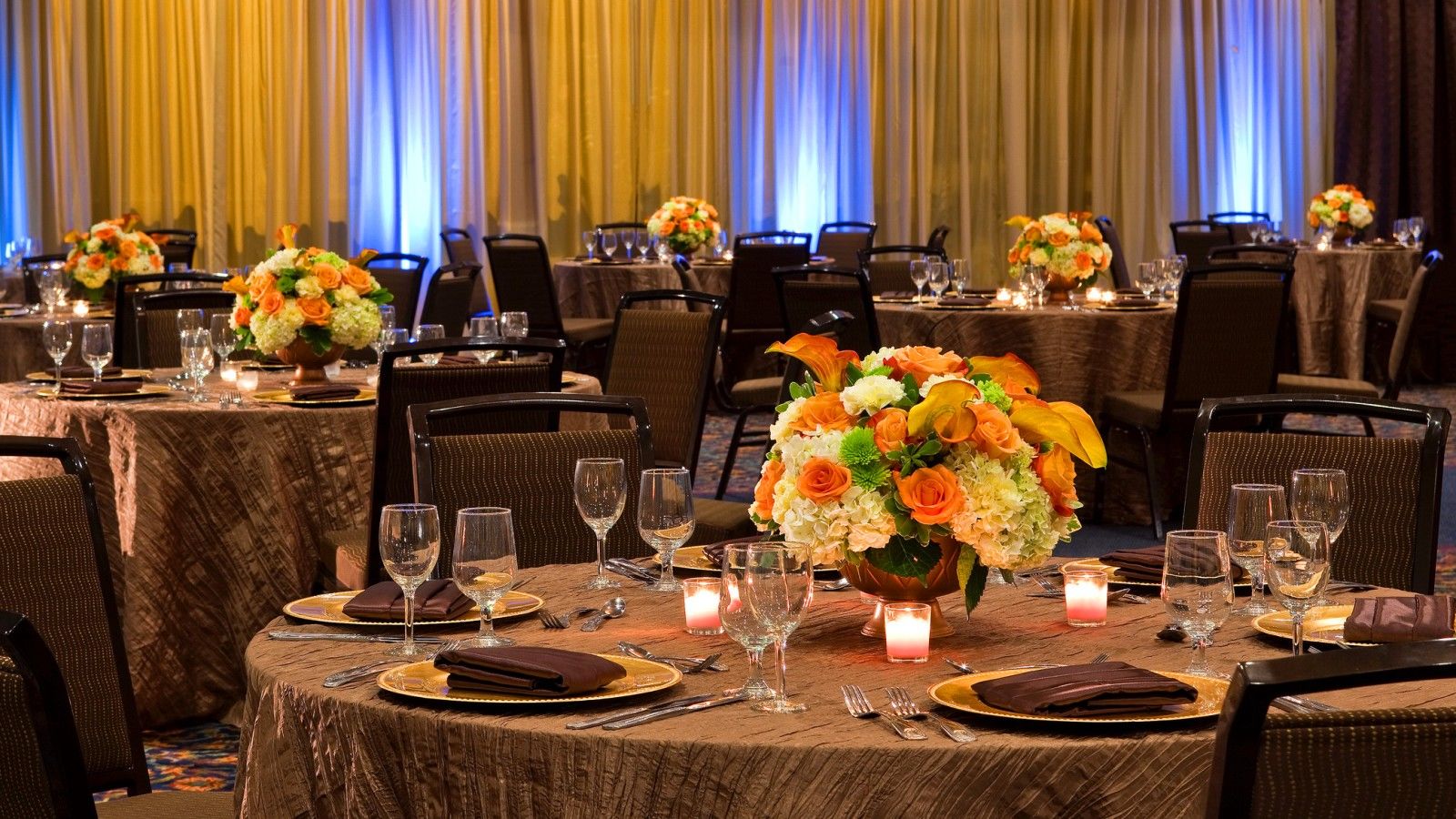 Sheraton Tampa Brandon Hotel Negocio foto